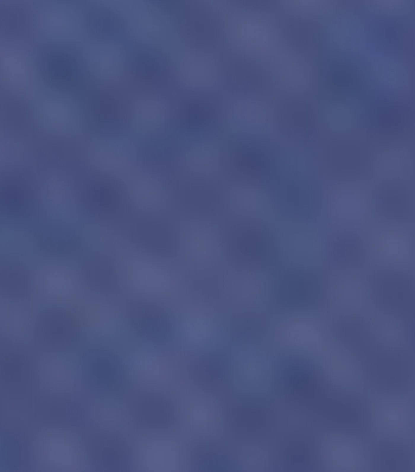Thumbnail 21