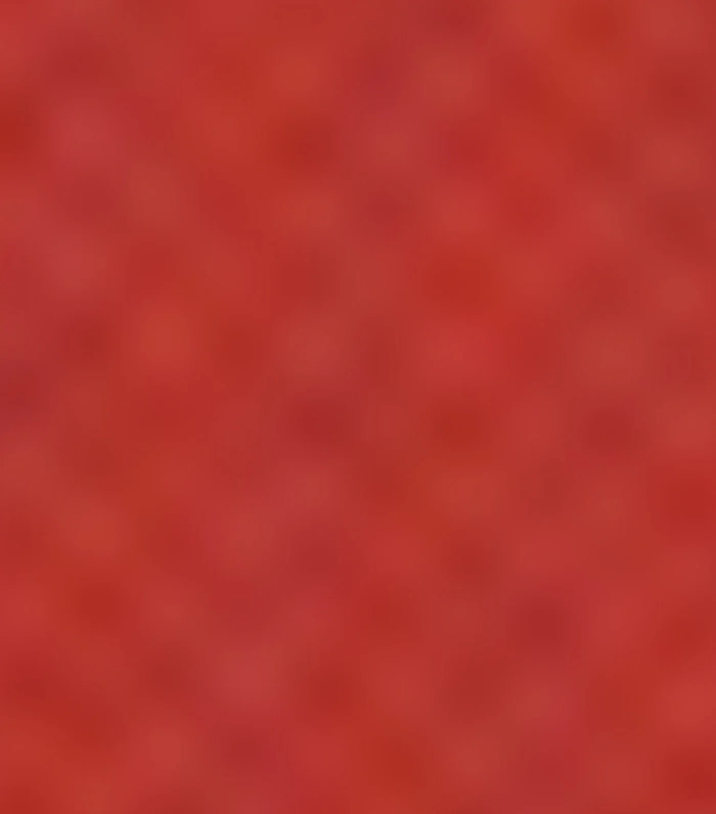 Thumbnail 81